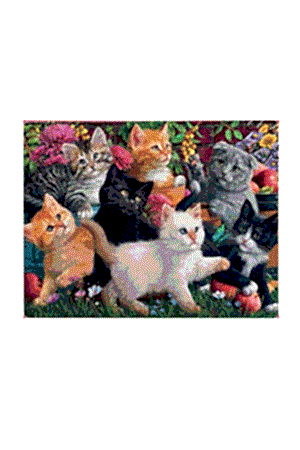 Resim Oyuncu Kediler / Kittens At Play - 260 Parça - 3327