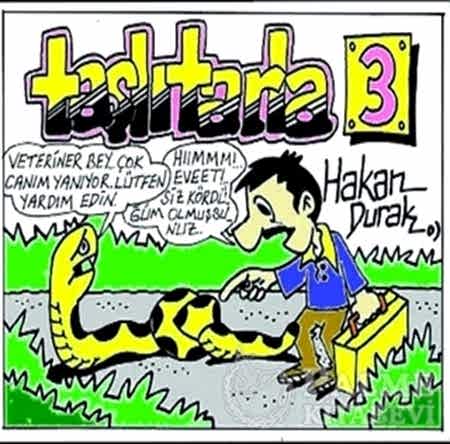 Resim Taşlı Tarla 3