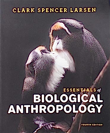 Resim Essentials of Biological Anthropology 4e