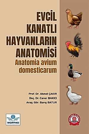Resim Evcil Kanatlı Hayvanların Anatomisi