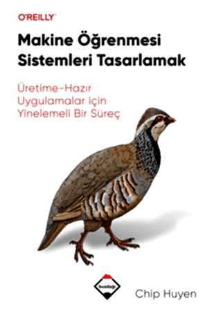 Resim Makine Öğrenmesi Sistemleri Tasarlamak