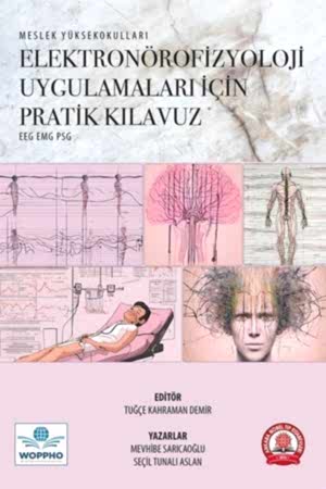 Resim Elektronörofizyoloji Uygulamaları için Pratik Kılavuz