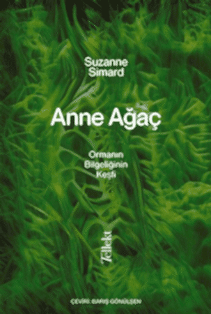 Resim Anne Ağaç