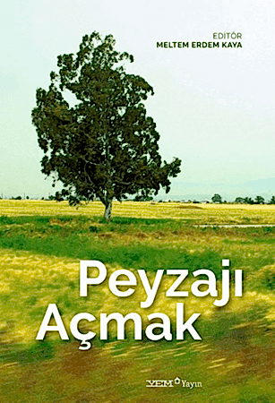 Resim Peyzajı Açmak
