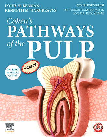 Resim Cohen's Pathways of the Pulp Türkçe 12.Baskı