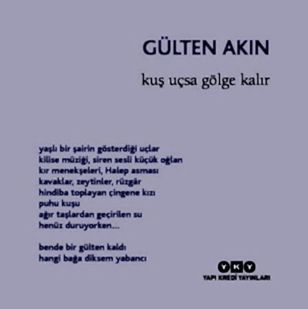 Resim Kuş Uçsa Gölge Kalır