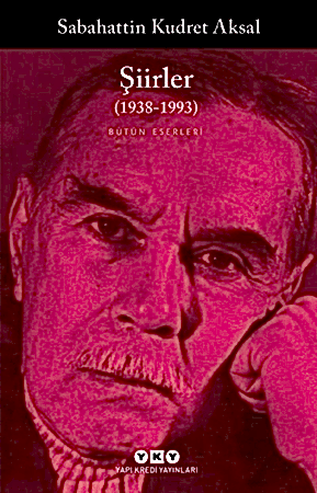 Resim Şiirler (1938-1993)