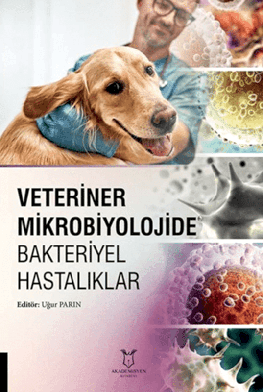 resm Veteriner Mikrobiyolojide Bakteriyel Hastalıklar